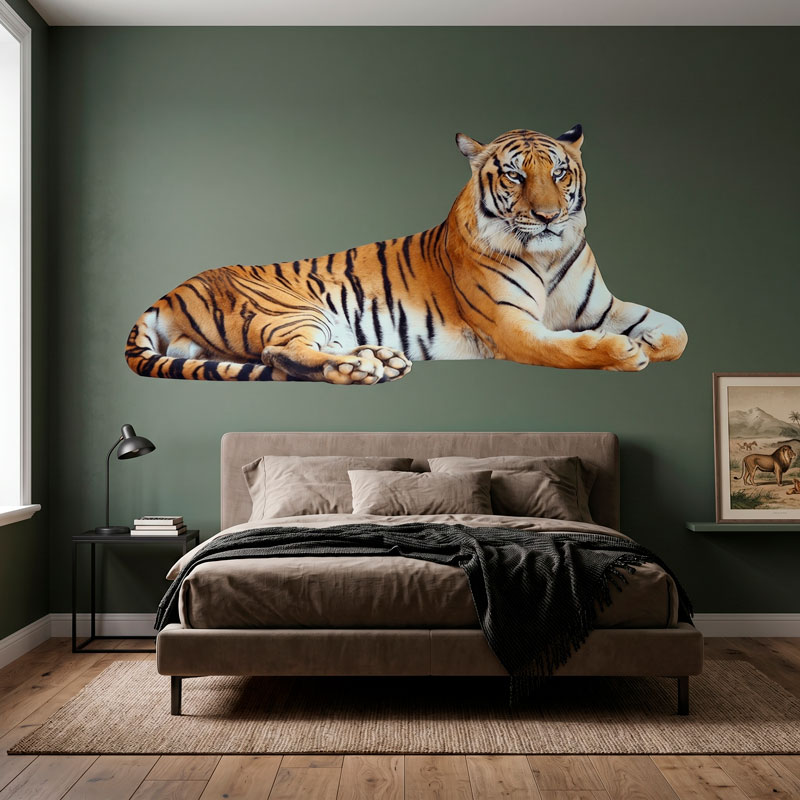Tigre d&eacute;tendu 6/6
