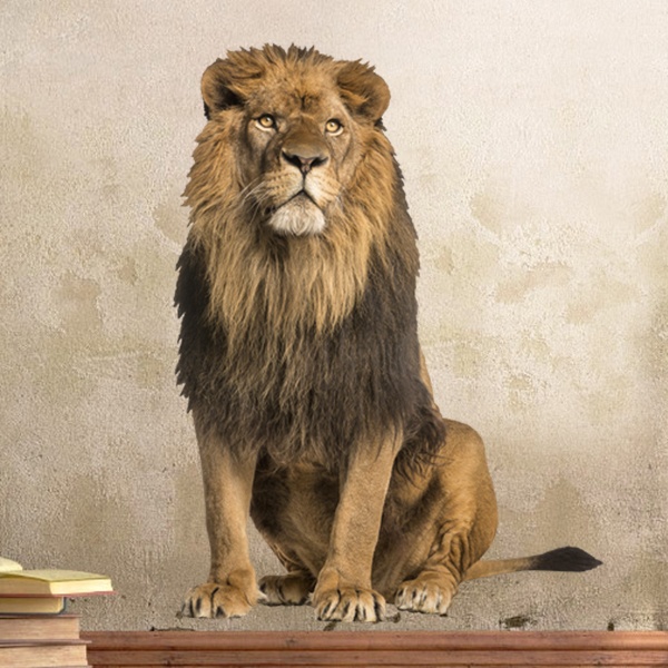 Stickers muraux: Lion mâle alpha