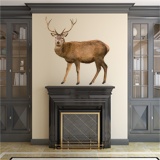 Stickers muraux: Cerf 3