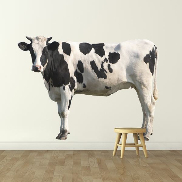 Stickers muraux: Vache Holstein