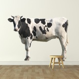 Stickers muraux: Vache Holstein 3