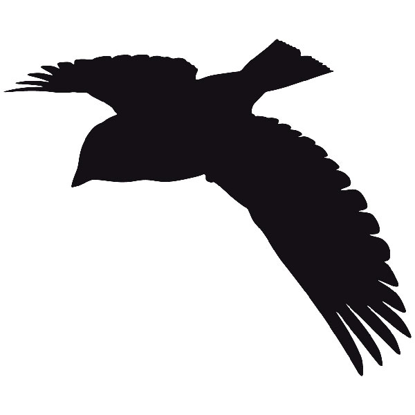 Stickers muraux: Silhouette de pigeon volant