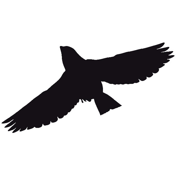 Stickers muraux: Pigeon volant