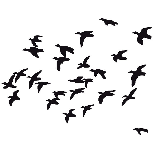 Stickers muraux: Oiseaux de troupeau