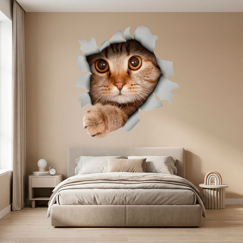 Trou chaton 7/7
