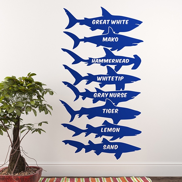 Stickers muraux: Les noms anglais des requins