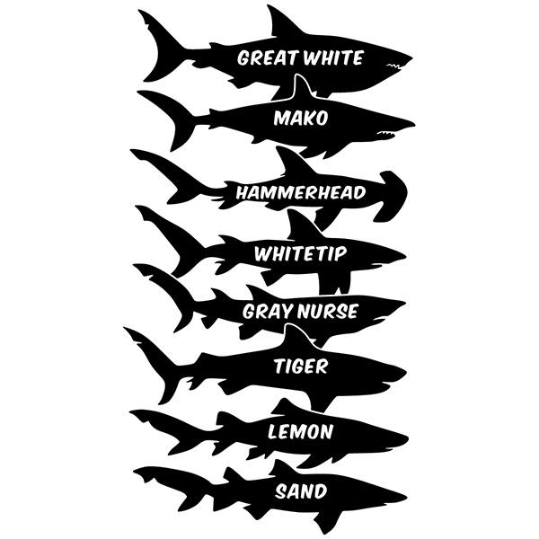 Stickers muraux: Les noms anglais des requins