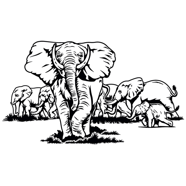 Stickers muraux: Ensemble d'éléphants