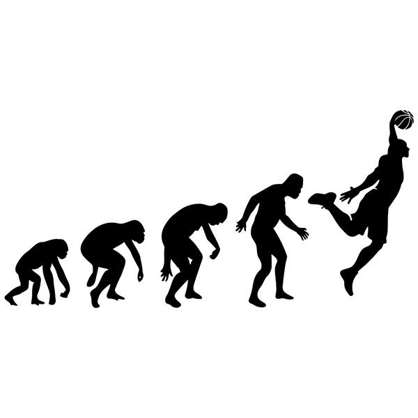 Stickers muraux: Basket-ball évolution