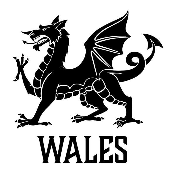 Stickers muraux: Sticker vinyle décoratif Dragon du Pays de Galles,