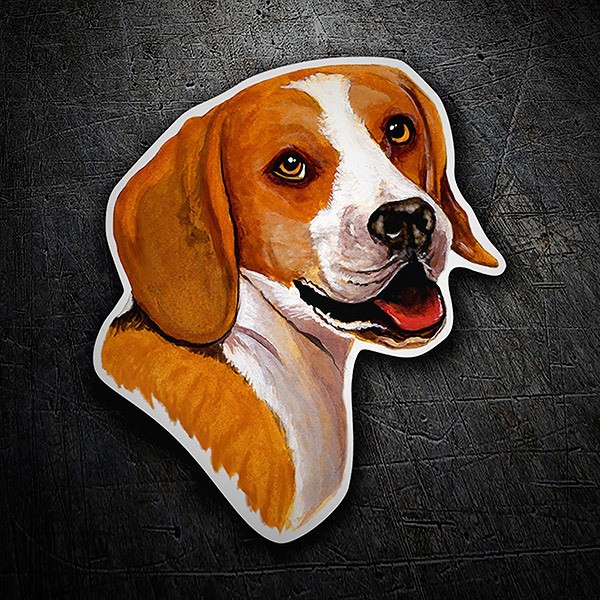 Autocollants: Beagle