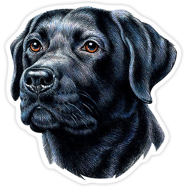 Autocollants: Silhouette du Visage de Labrador Retriever Noir