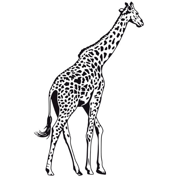 Stickers muraux: Girafe pleine longueur