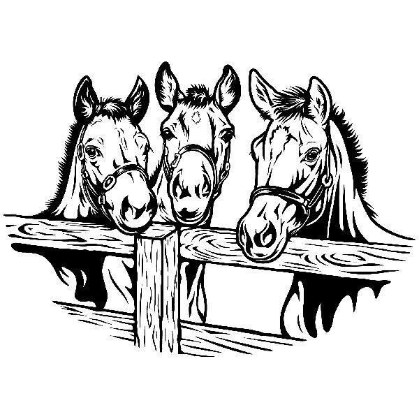 Stickers muraux: Trois chevaux