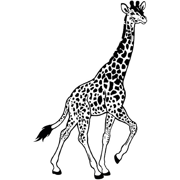 Stickers muraux: Giraffe marche