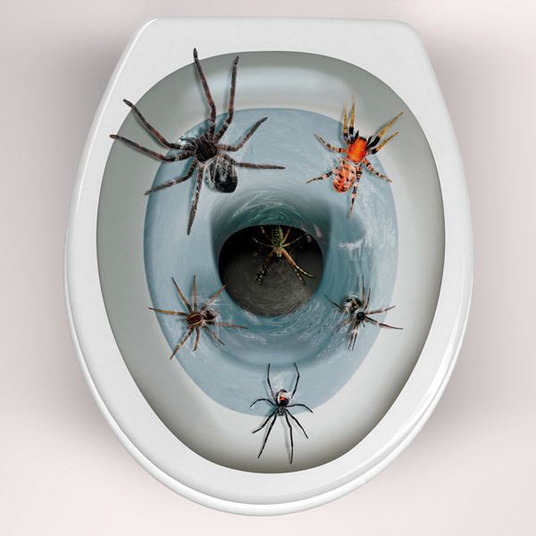 Stickers muraux: Araignées sortant de la cuvette de WC