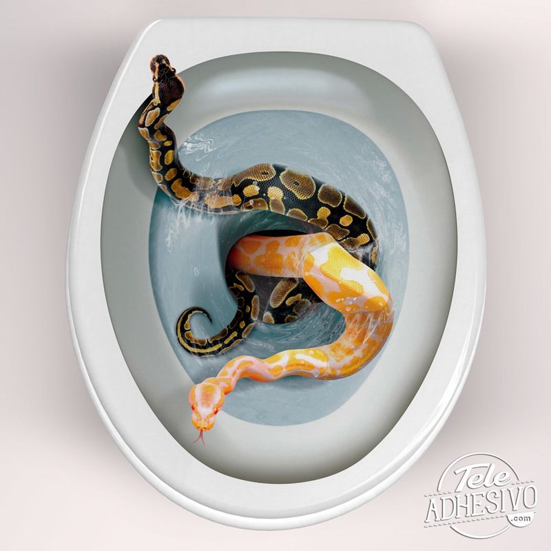 Stickers muraux: Serpents sortant de la cuve