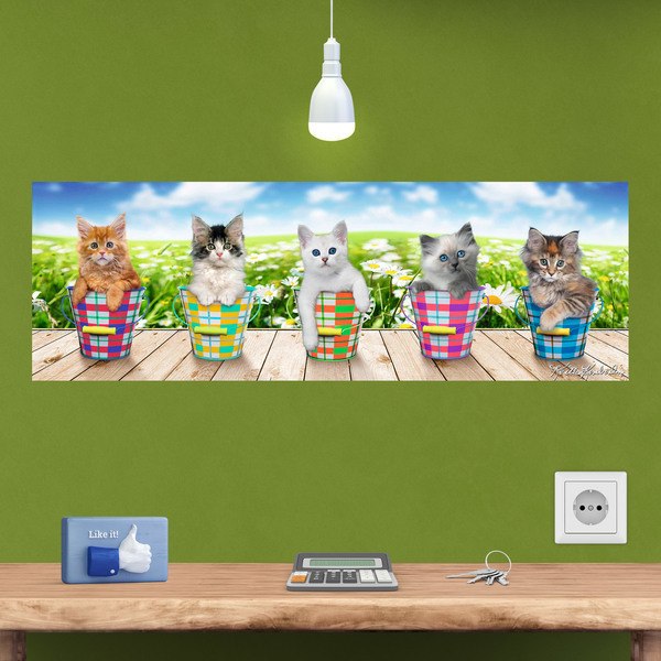 Stickers muraux: Poster adhésif de 5 chatons