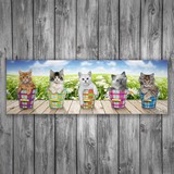 Stickers muraux: Poster adhésif de 5 chatons 3