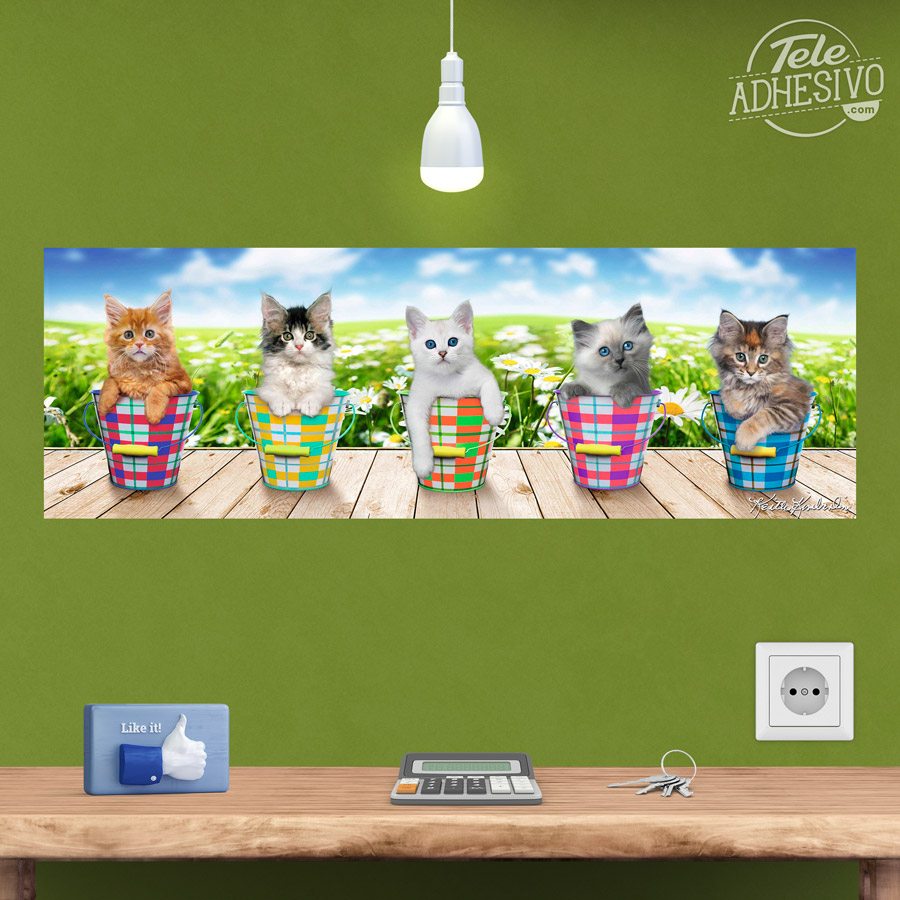 Stickers muraux: Poster adhésif de 5 chatons 5