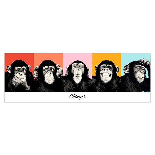 Stickers muraux: Poster adhésif 5 Chimpanzés