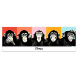 Stickers muraux: Poster adhésif 5 Chimpanzés 4