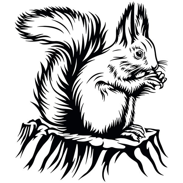 Stickers muraux: Écureuil manger