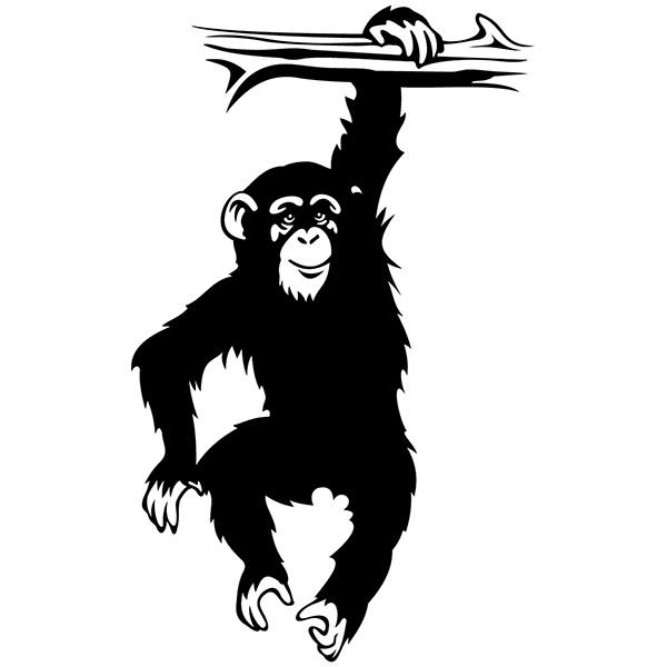 Stickers muraux: Chimpanzé sur la branche