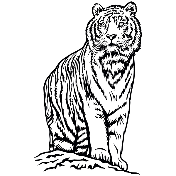 Stickers muraux: Tigre du Bengale