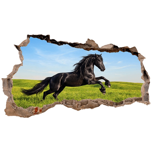 Stickers muraux: Trou de Mur Cheval noir galopant dans le pré