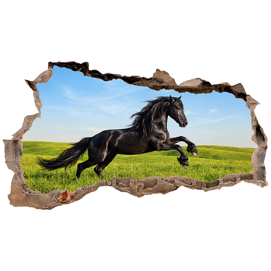 Stickers muraux: Trou de Mur Cheval noir galopant dans le pré