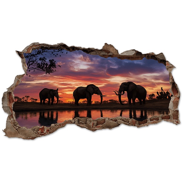 Stickers muraux: Trou de Mur &Eacute;l&eacute;phants Coucher de Soleil