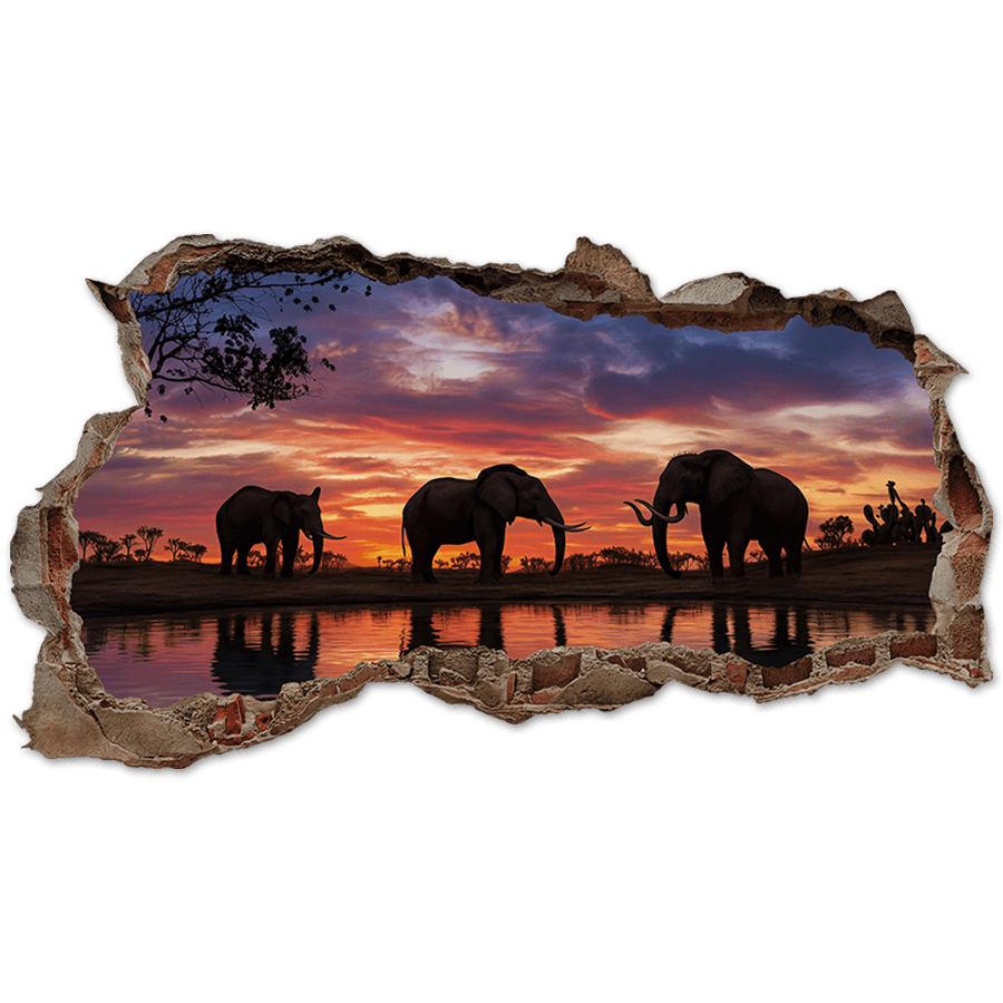 Stickers muraux: Trou de Mur &Eacute;l&eacute;phants Coucher de Soleil