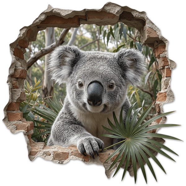 Stickers muraux: Trou de Mur Koala dans l'Eucalyptus