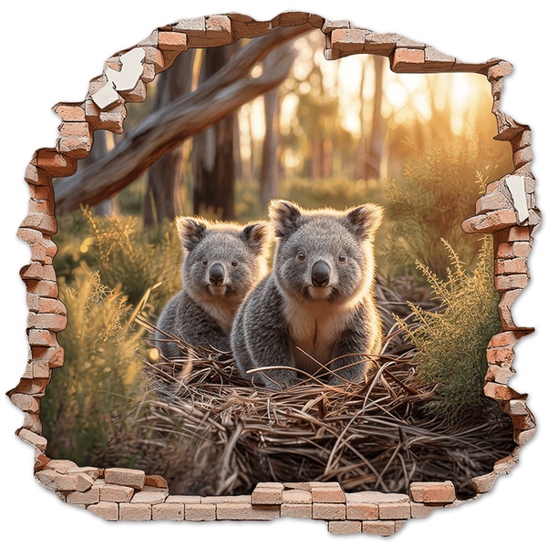 Stickers muraux: Trou de Mur Koalas For&ecirc;t