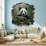Stickers muraux: Trou de Mur Ours Panda 5