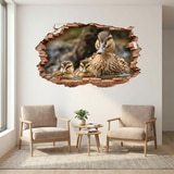 Stickers muraux: Trou de Mur Canetons 10
