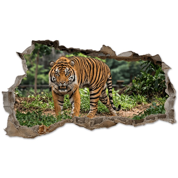 Stickers muraux: Trou de Mur Tigre du Bengale dans la Jungle