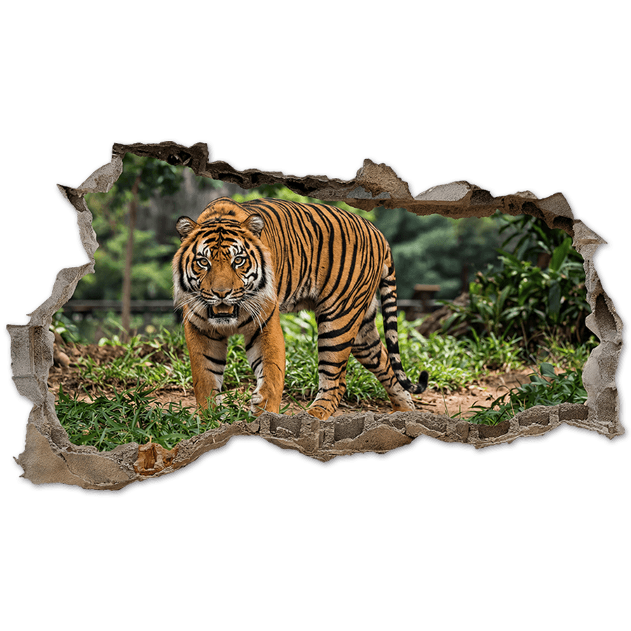Stickers muraux: Trou de Mur Tigre du Bengale dans la Jungle