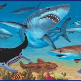 Stickers pour enfants: Frontière requin 4