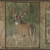 Stickers muraux: Cerf 3