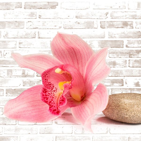 Stickers muraux: Bouquet d'orchidées