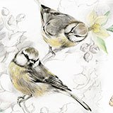 Stickers muraux: Oiseaux peints 3