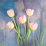 Stickers muraux: Tulipes peintes 3