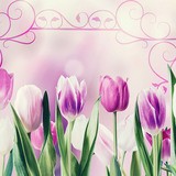 Stickers muraux: Tulipes et ornements 3