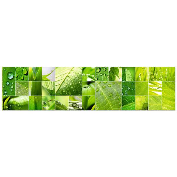 Stickers muraux: Feuilles et gouttes