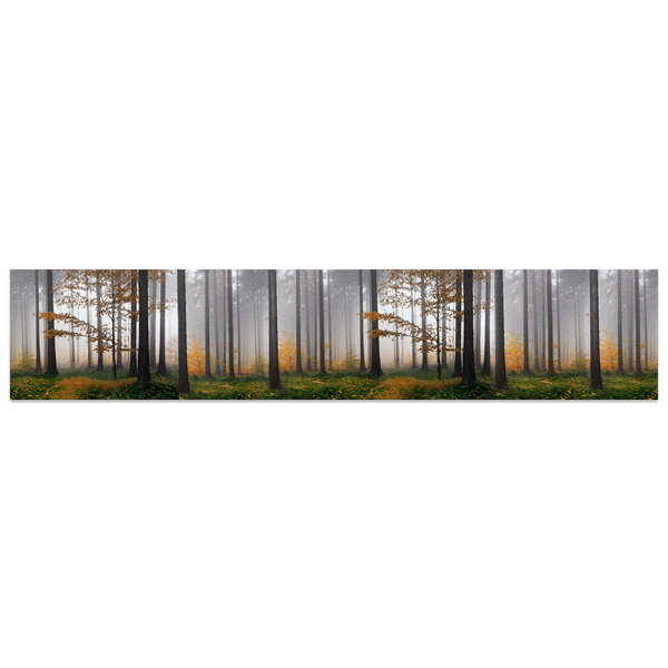 Stickers muraux: Brouillard dans la forêt