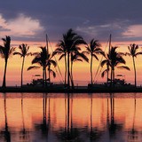 Stickers muraux: Les palmiers au coucher du soleil 3