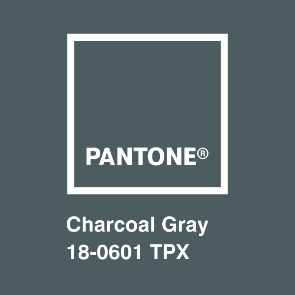 Stickers muraux: Pantone Charcoal Gray