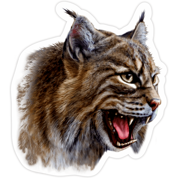Autocollants: Lynx ibérique